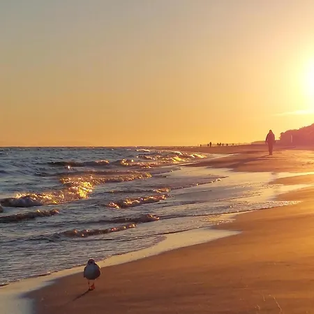 Awesome In * Cammin in Pommern