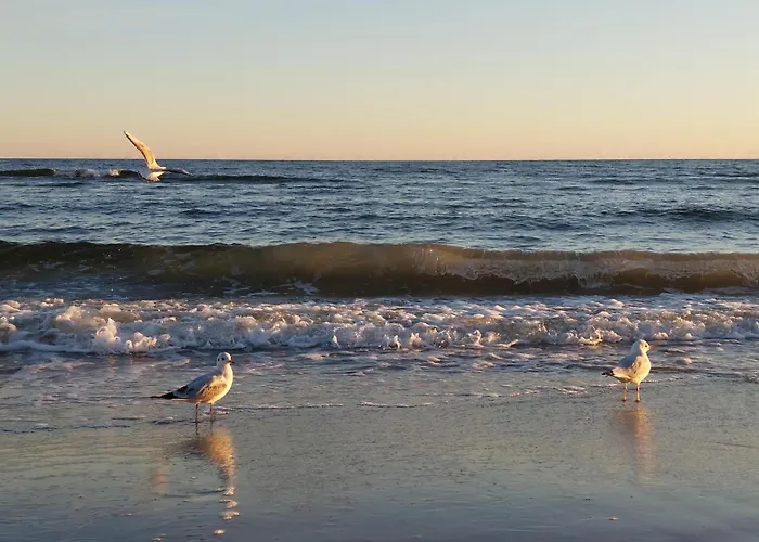 Awesome In Dom wakacyjny