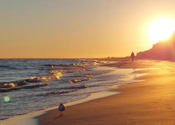 Awesome In * Kamien Pomorski